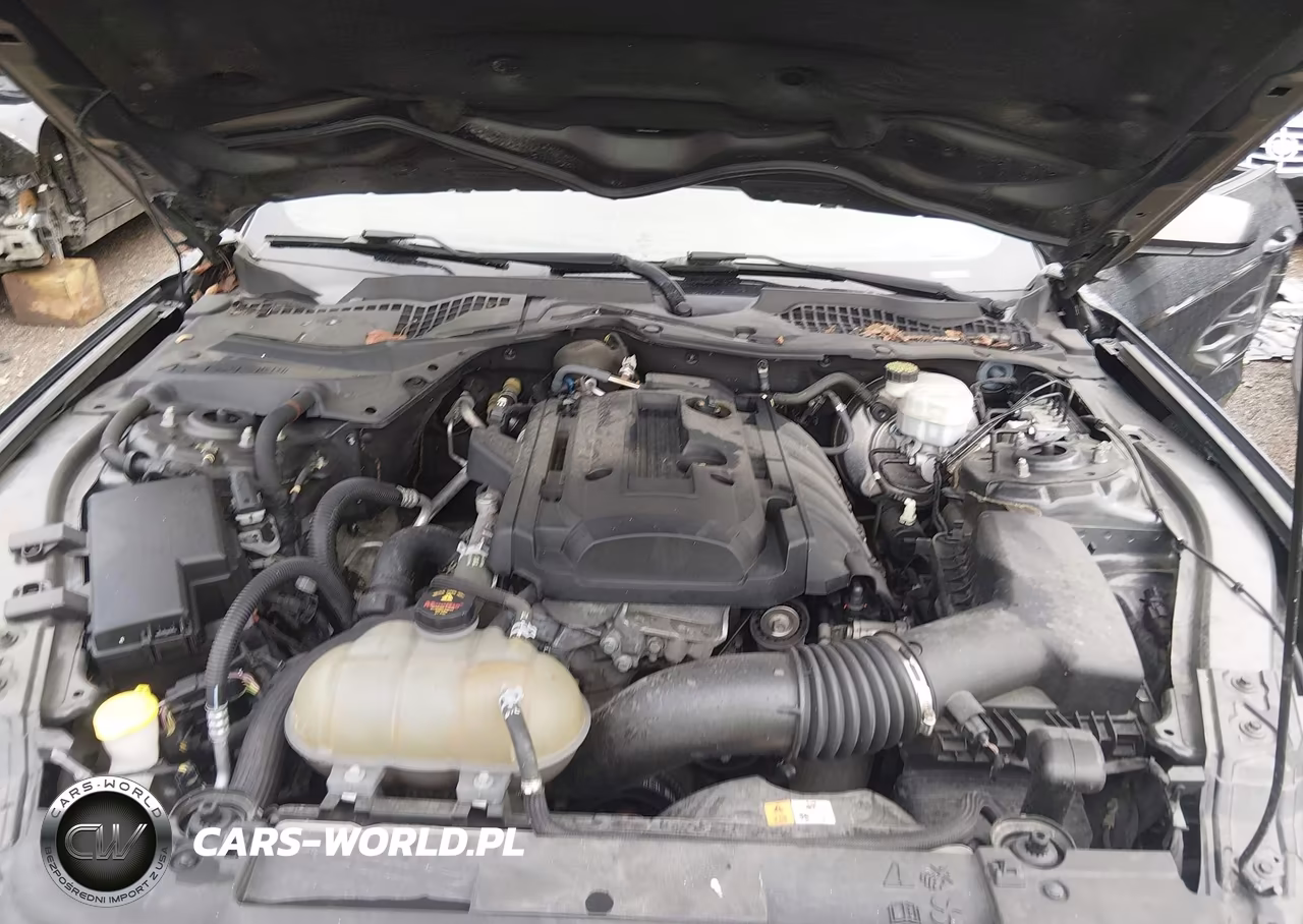 2018 Ford Mustang Ecoboost VIN:1FA6P8TH5J5113541 - 10