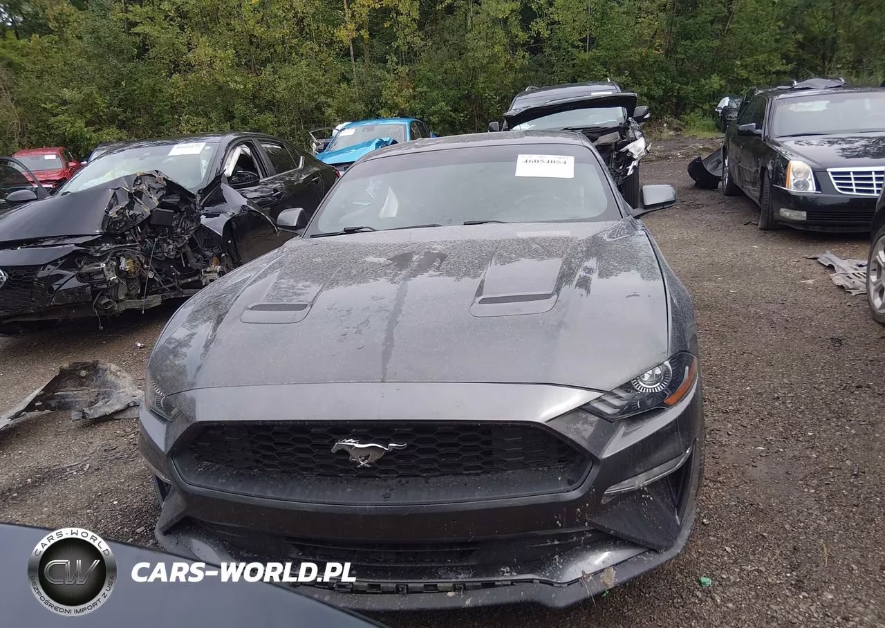 2018 Ford Mustang Ecoboost VIN:1FA6P8TH5J5113541 - 12