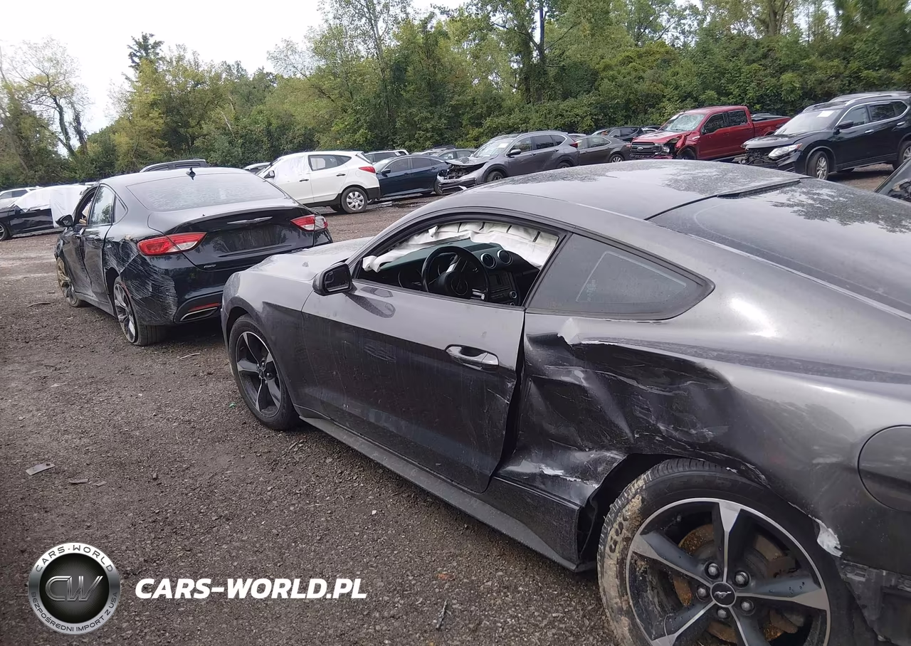 2018 Ford Mustang Ecoboost VIN:1FA6P8TH5J5113541 - 14