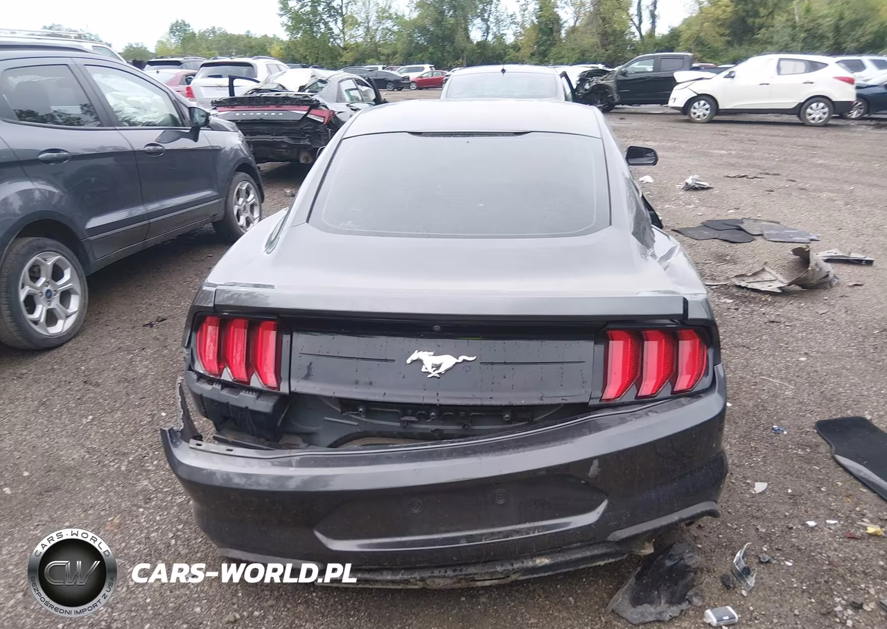 2018 Ford Mustang Ecoboost VIN:1FA6P8TH5J5113541 - 16