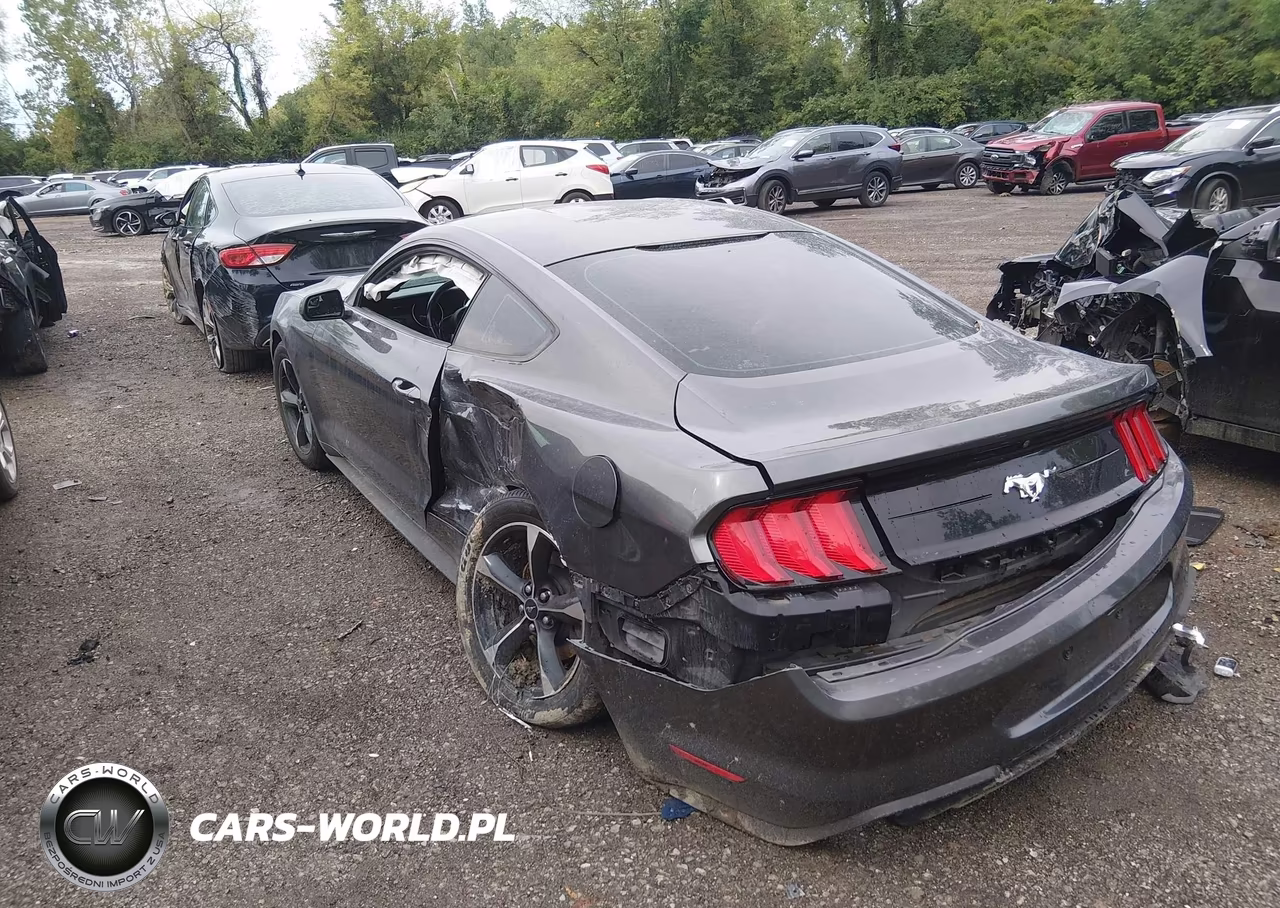 2018 Ford Mustang Ecoboost VIN:1FA6P8TH5J5113541 - 3