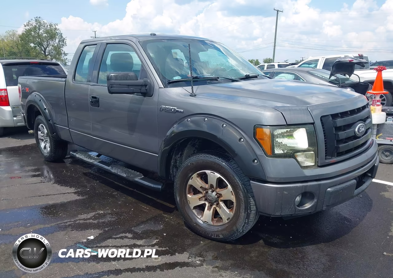 2013 Ford F-150 Stx VIN:1FTFX1CF7DKG20561 - 1