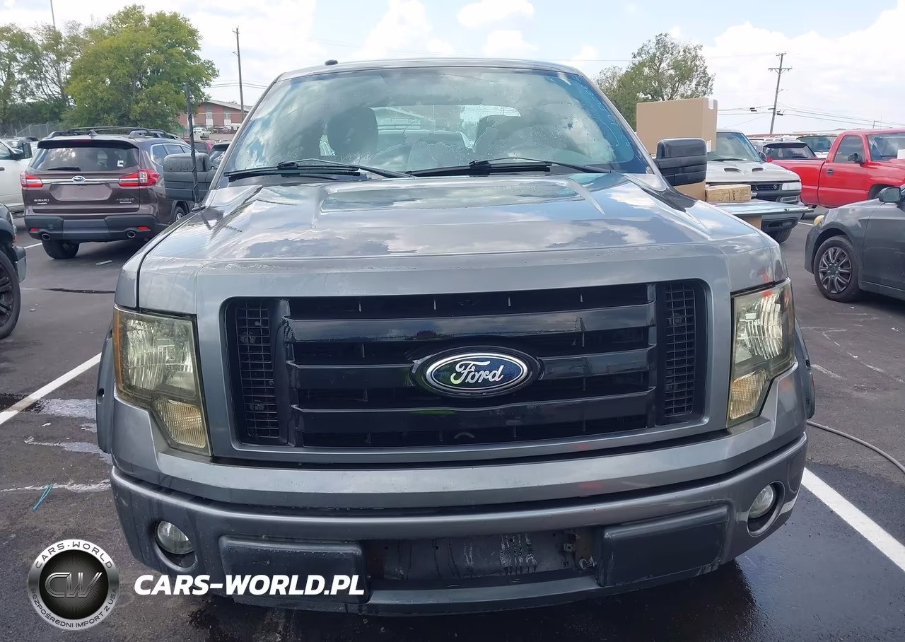 2013 Ford F-150 Stx VIN:1FTFX1CF7DKG20561 - 12