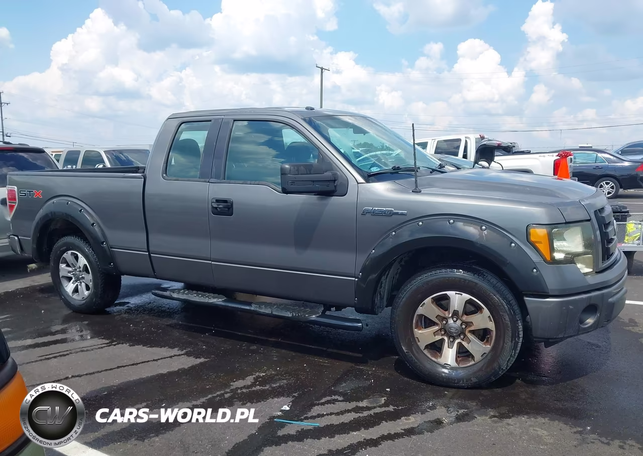 2013 Ford F-150 Stx VIN:1FTFX1CF7DKG20561 - 13