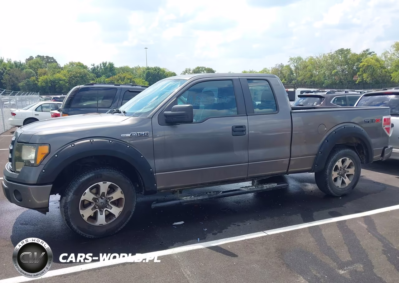 2013 Ford F-150 Stx VIN:1FTFX1CF7DKG20561 - 14