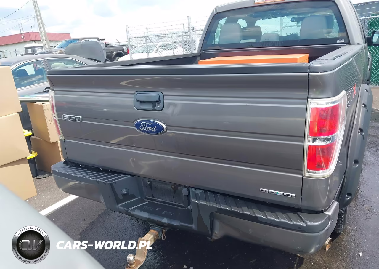 2013 Ford F-150 Stx VIN:1FTFX1CF7DKG20561 - 16