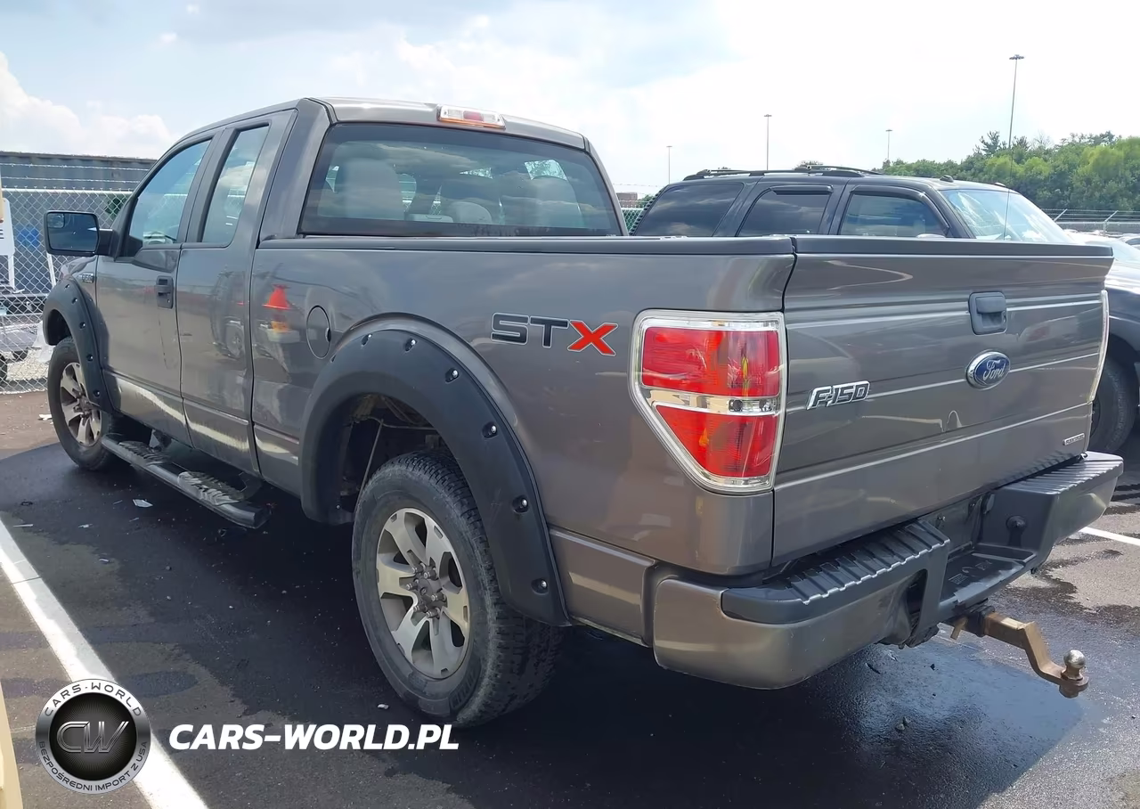 2013 Ford F-150 Stx VIN:1FTFX1CF7DKG20561 - 3