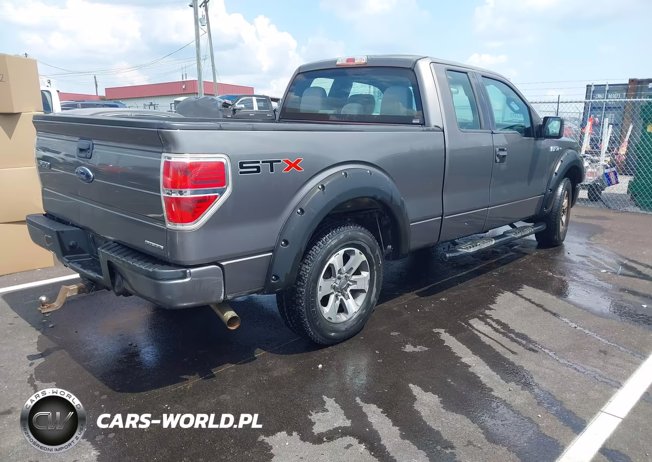 2013 Ford F-150 Stx VIN:1FTFX1CF7DKG20561 - 4