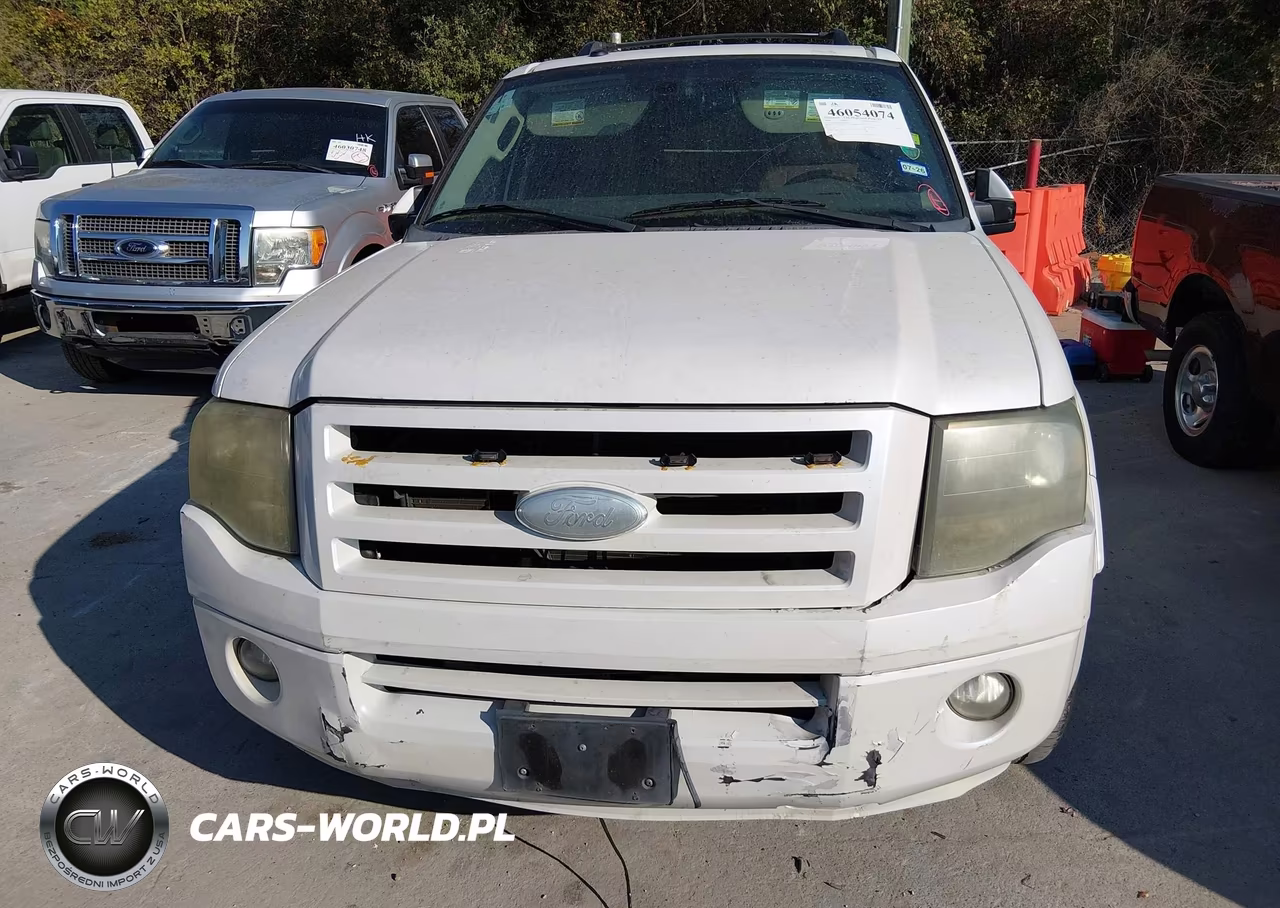 2009 Ford Expedition Limited VIN:1FMFU195X9LA07287 - 15
