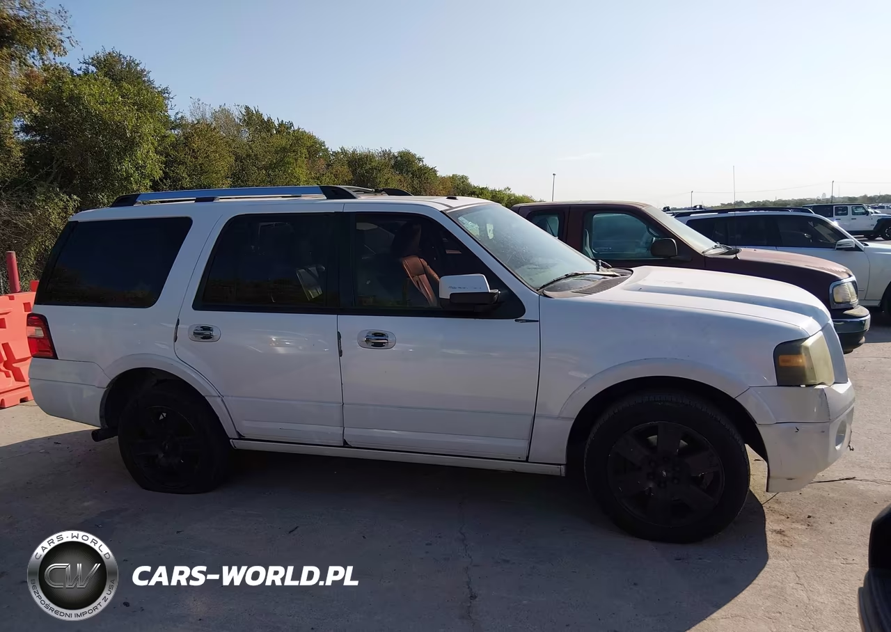 2009 Ford Expedition Limited VIN:1FMFU195X9LA07287 - 16