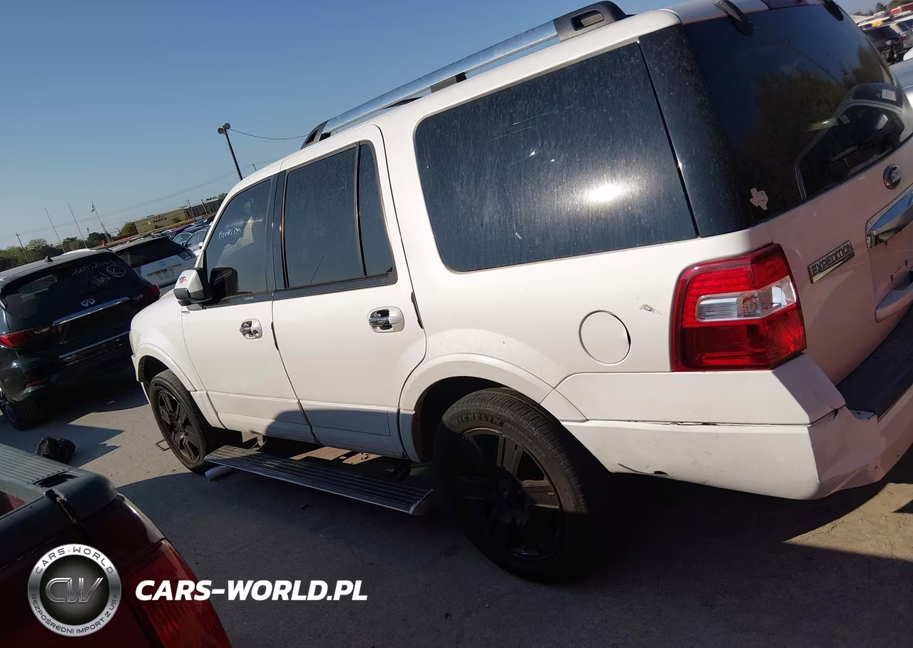 2009 Ford Expedition Limited VIN:1FMFU195X9LA07287 - 17