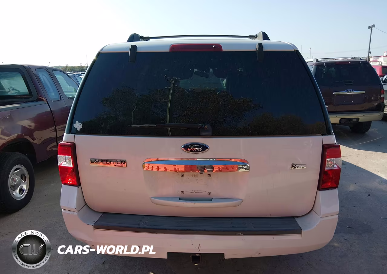 2009 Ford Expedition Limited VIN:1FMFU195X9LA07287 - 19