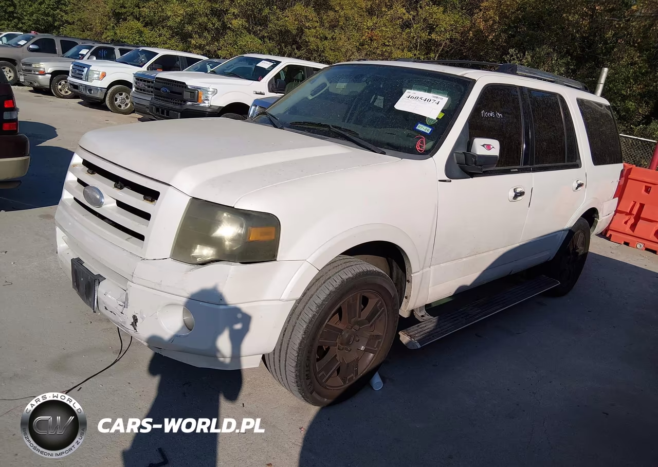 2009 Ford Expedition Limited VIN:1FMFU195X9LA07287 - 2