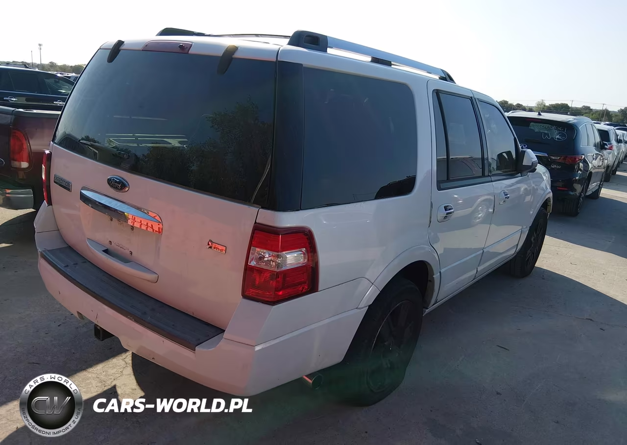 2009 Ford Expedition Limited VIN:1FMFU195X9LA07287 - 4