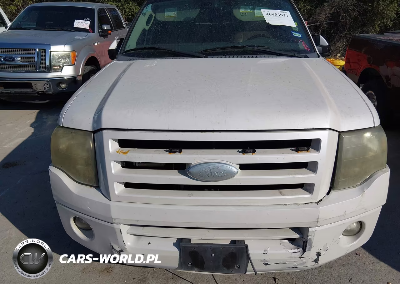 2009 Ford Expedition Limited VIN:1FMFU195X9LA07287 - 6