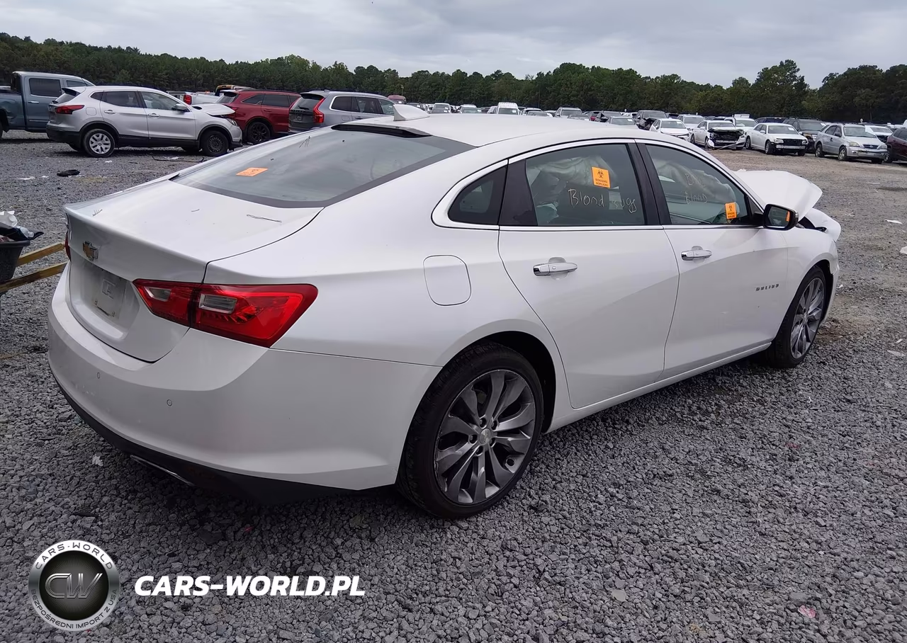 2016 Chevrolet Malibu Premier VIN:1G1ZH5SX4GF226145 - 4