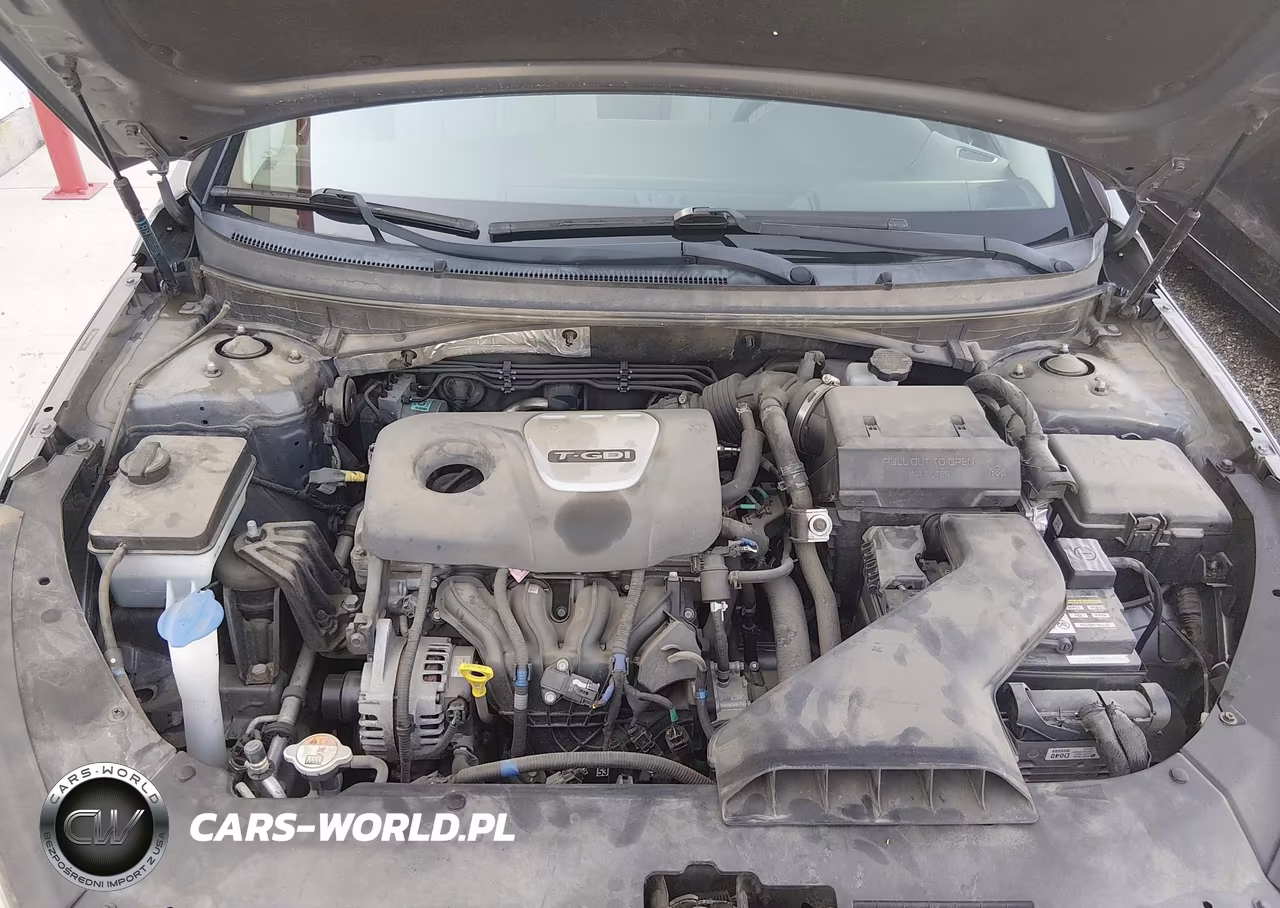 2019 Hyundai Sonata Eco VIN:5NPE24AA4KH774871 - 10