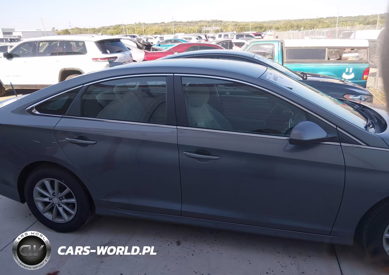 2019 Hyundai Sonata Eco VIN:5NPE24AA4KH774871 - 13