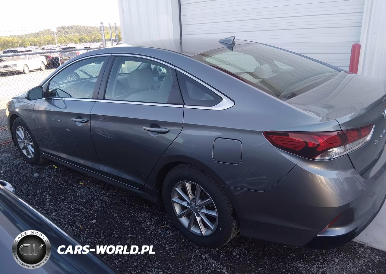 2019 Hyundai Sonata Eco VIN:5NPE24AA4KH774871 - 14