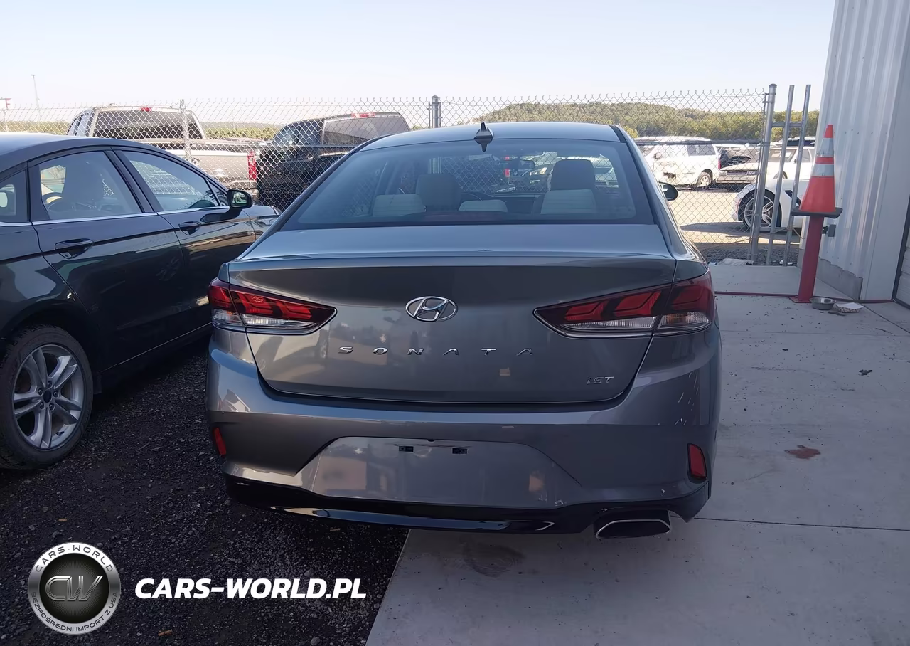 2019 Hyundai Sonata Eco VIN:5NPE24AA4KH774871 - 16