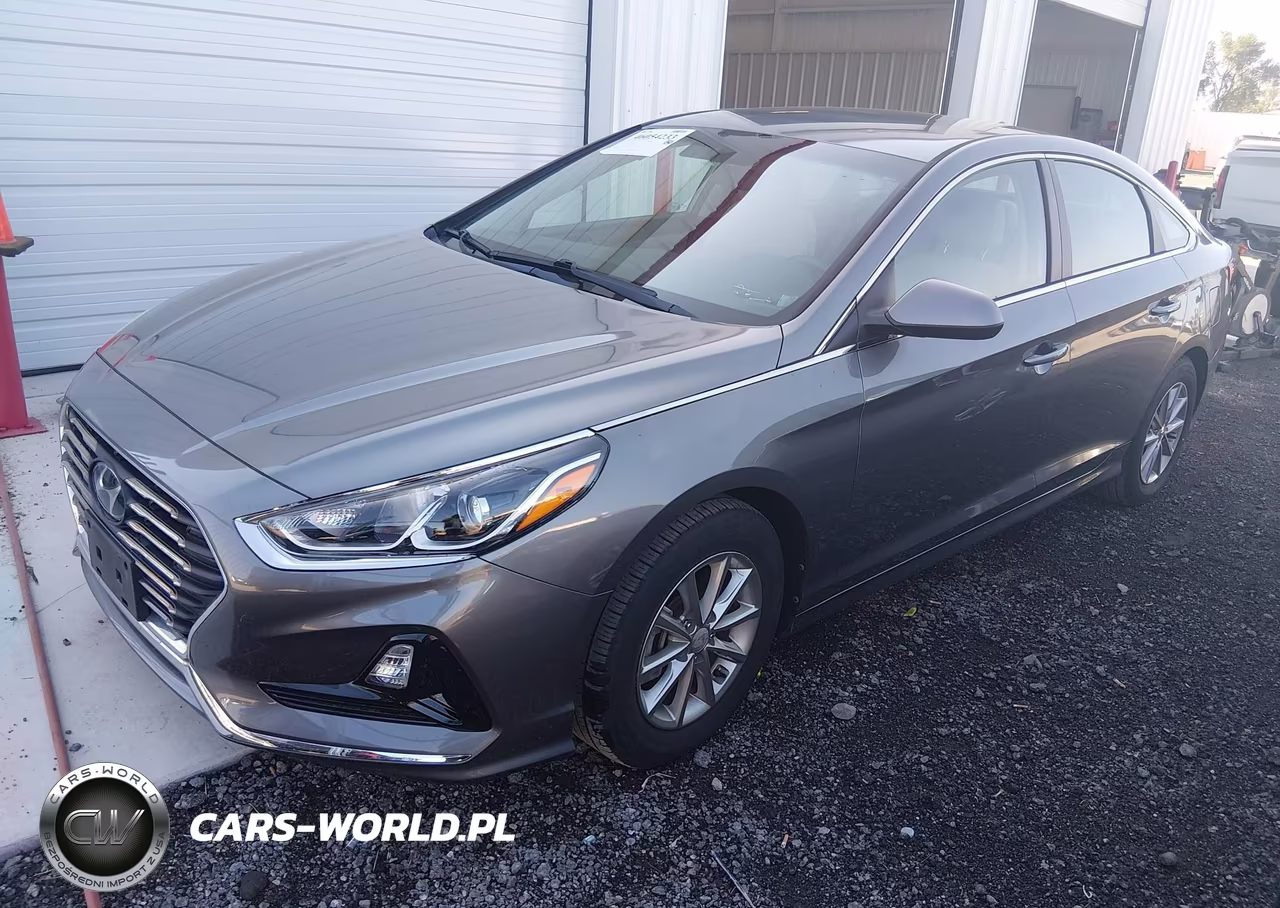 2019 Hyundai Sonata Eco VIN:5NPE24AA4KH774871 - 2