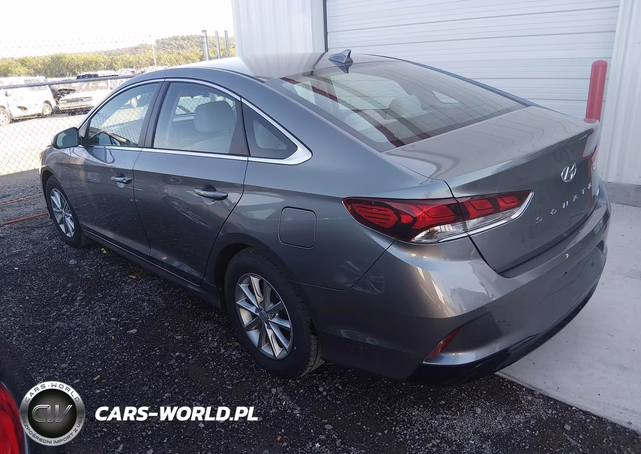 2019 Hyundai Sonata Eco VIN:5NPE24AA4KH774871 - 3