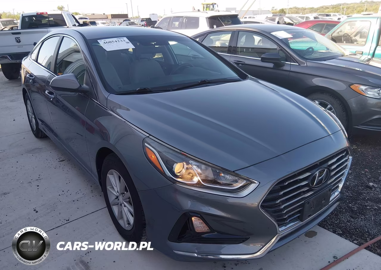 2019 Hyundai Sonata Eco VIN:5NPE24AA4KH774871 - 6