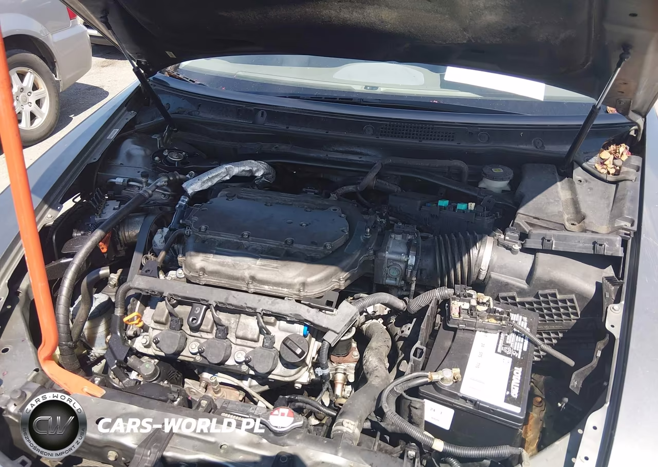2009 Acura Rl 3.7 VIN:JH4KB266X9C001659 - 10