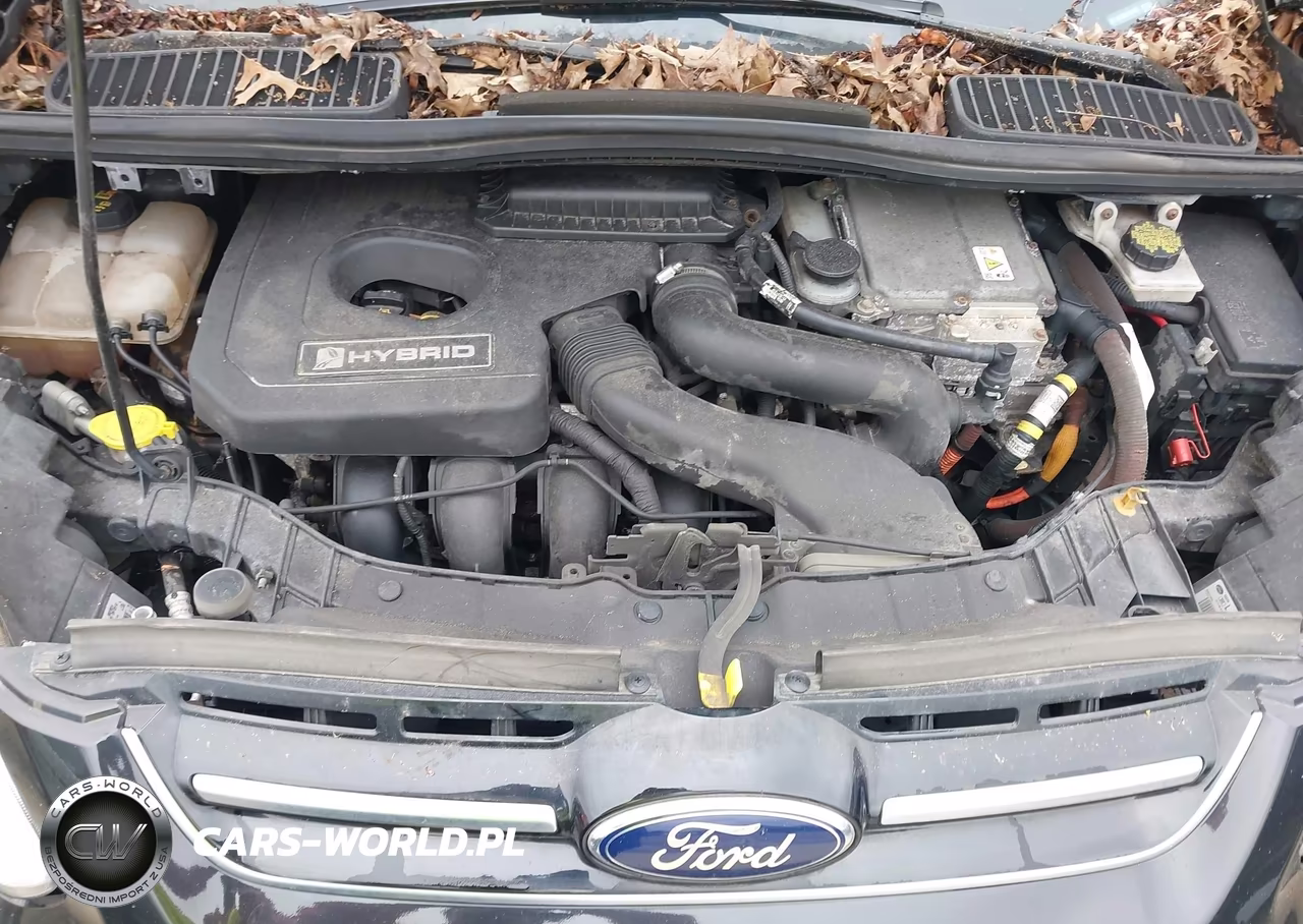 2014 Ford C-Max Hybrid Se VIN:1FADP5AU9EL504683 - 10