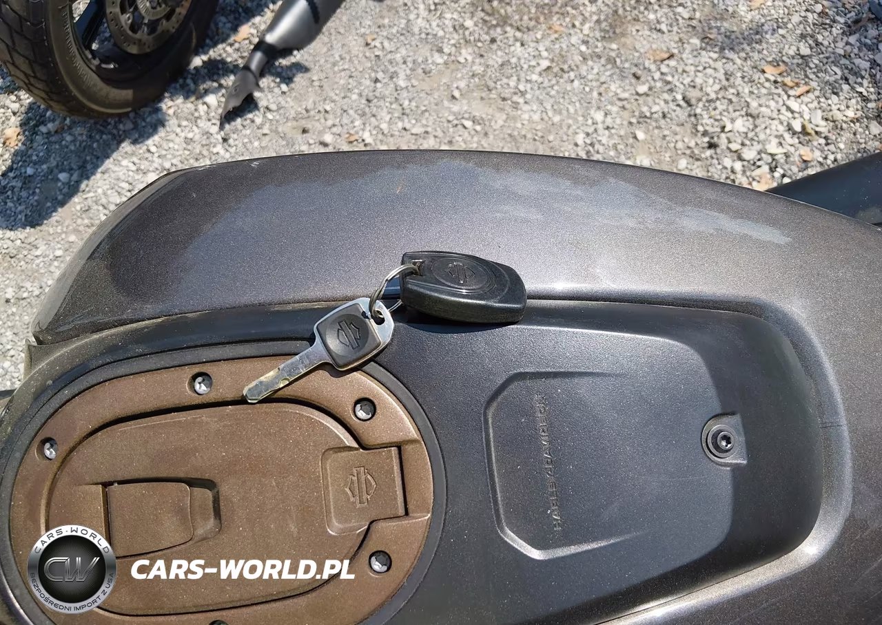 2023 Harley-Davidson Rh1250 S VIN:1HD1ZC41XPB316176 - 11