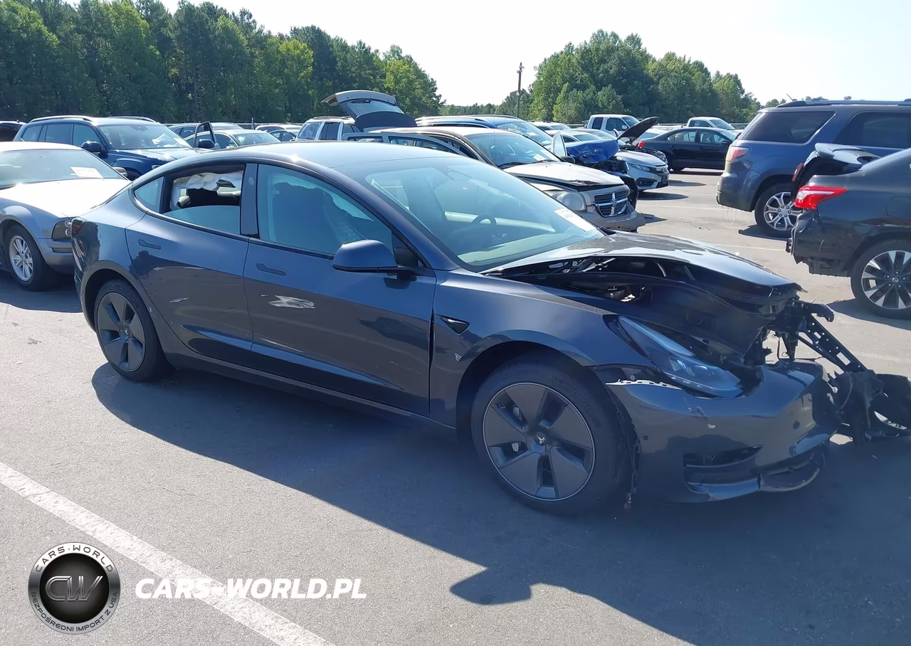 2022 Tesla Model 3 Rear-Wheel Drive