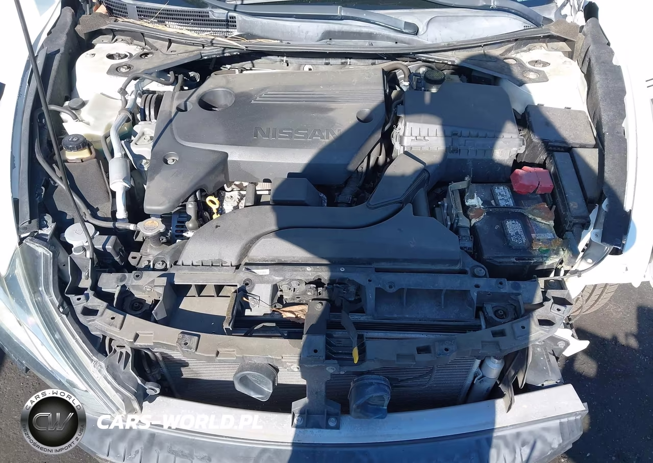 2016 Nissan Altima 2.5 Sv VIN:1N4AL3AP8GC218064 - 10