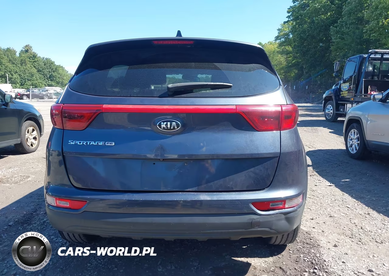 2019 Kia Sportage Lx VIN:KNDPM3AC4K7496203 - 16