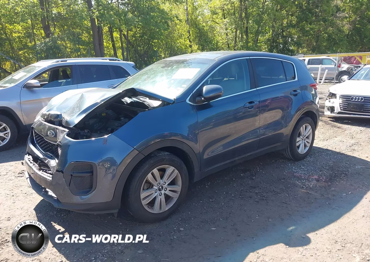 2019 Kia Sportage Lx VIN:KNDPM3AC4K7496203 - 2