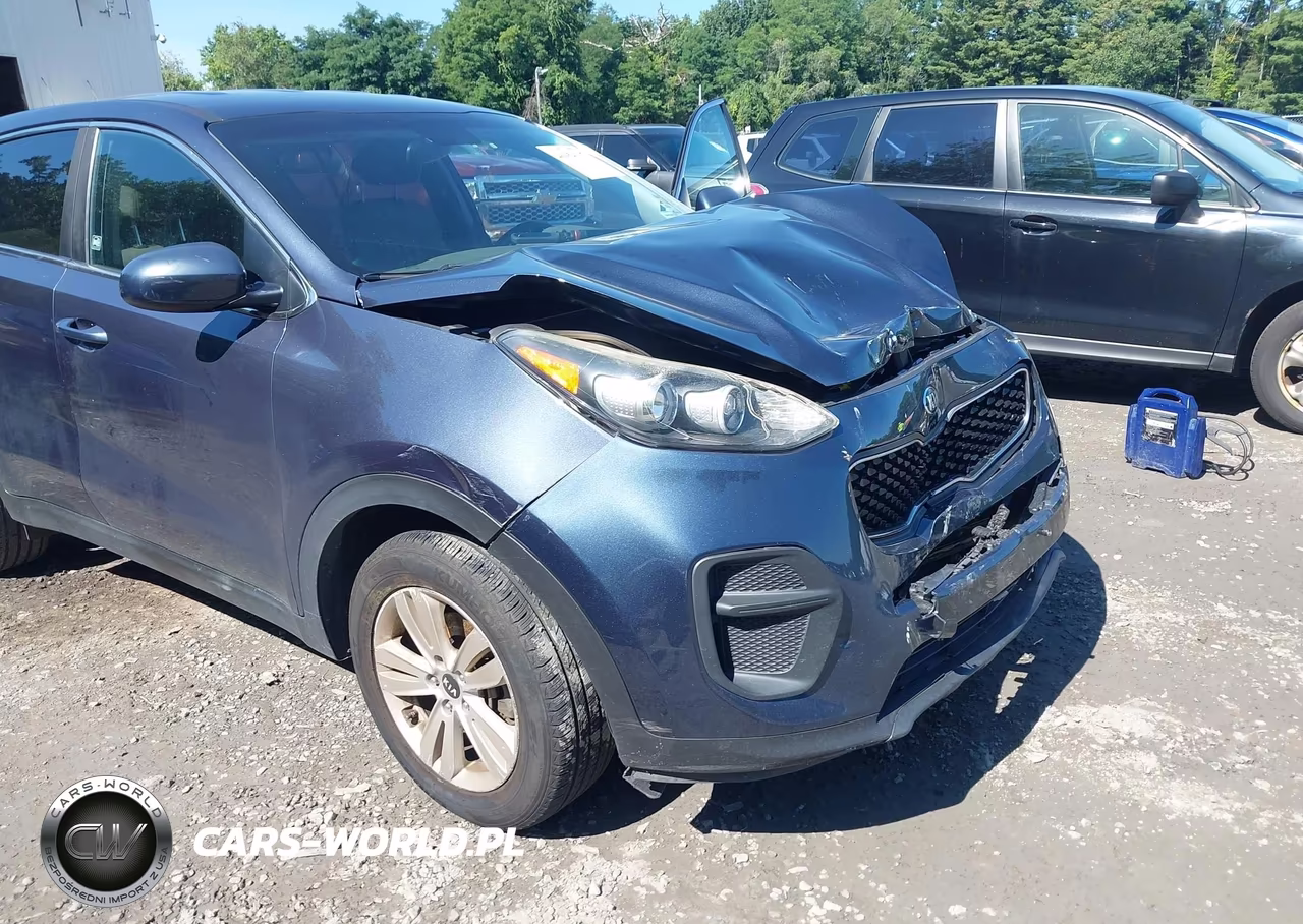 2019 Kia Sportage Lx VIN:KNDPM3AC4K7496203 - 6