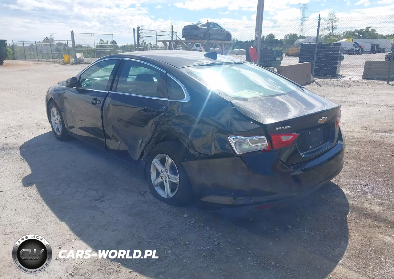 2024 Chevrolet Malibu Fwd Ls VIN:1G1ZB5ST0RF182968 - 3