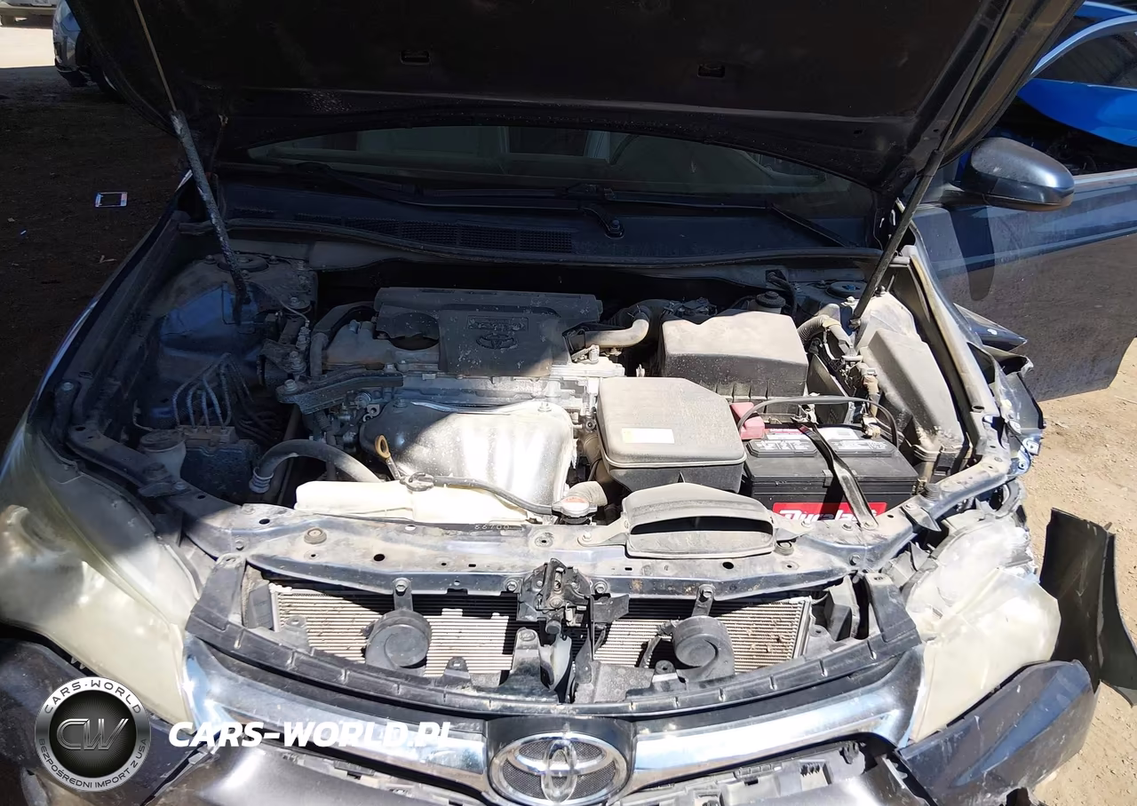 2016 Toyota Camry Xle VIN:4T1BF1FK6GU601028 - 10