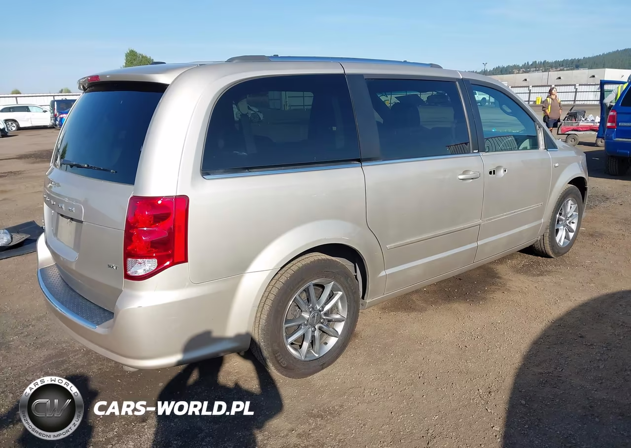 2014 Dodge Grand Caravan Sxt 30Th Anniversary VIN:2C4RDGCG9ER223356 - 4