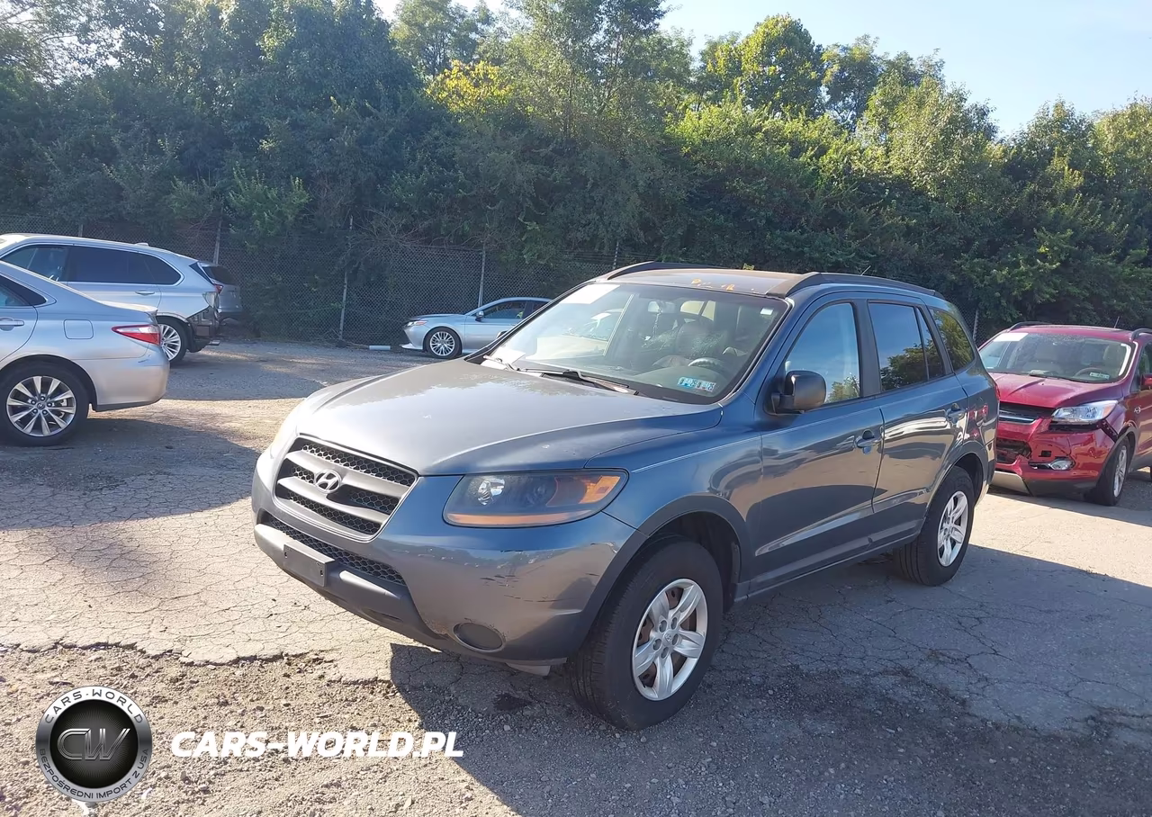 2009 Hyundai Santa Fe Gls VIN:5NMSG13D19H246898 - 2