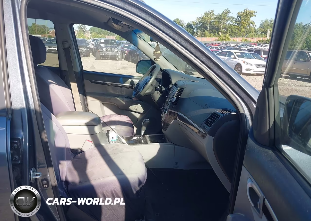 2009 Hyundai Santa Fe Gls VIN:5NMSG13D19H246898 - 5