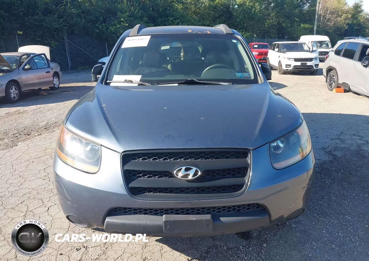 2009 Hyundai Santa Fe Gls VIN:5NMSG13D19H246898 - 6