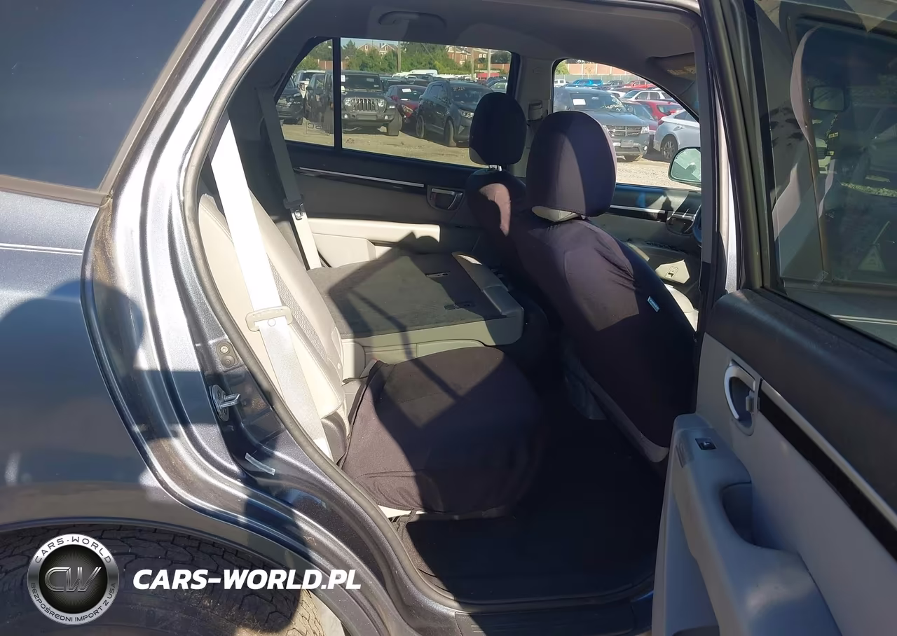 2009 Hyundai Santa Fe Gls VIN:5NMSG13D19H246898 - 8