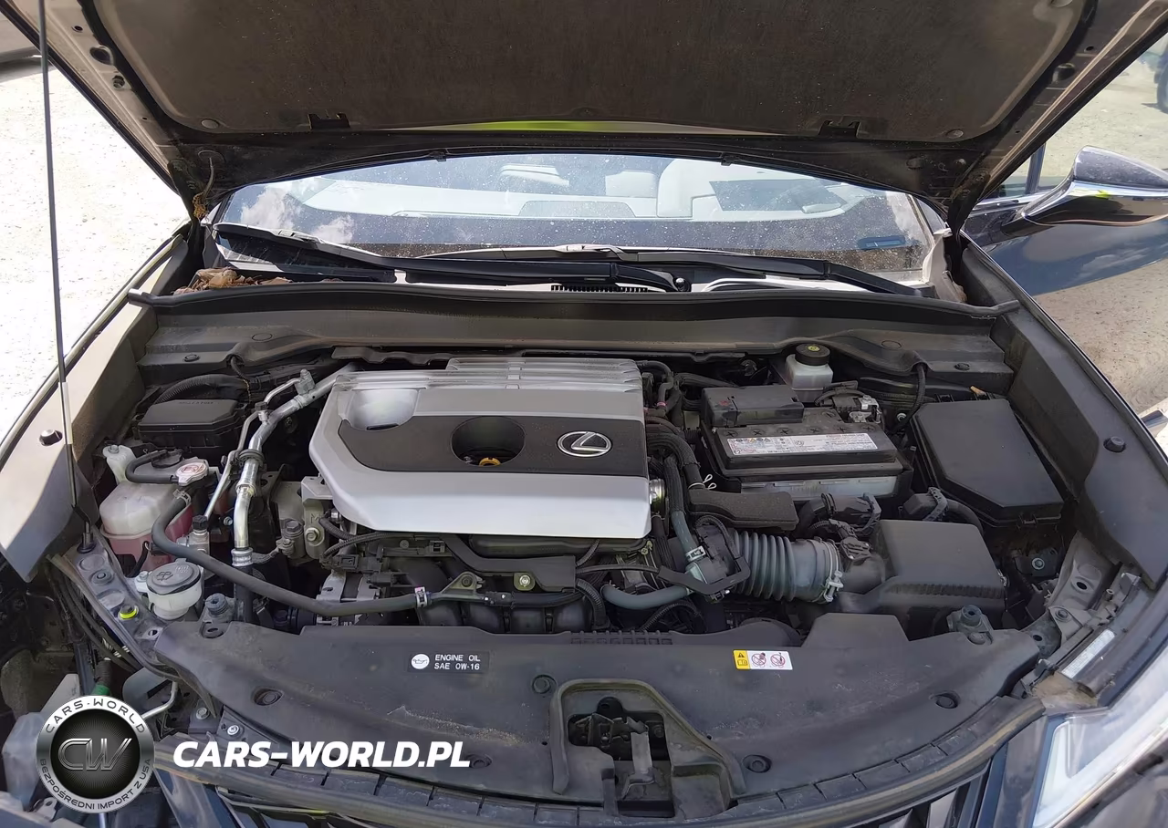 2020 Lexus Ux 200 VIN:JTHX3JBH2L2026587 - 10