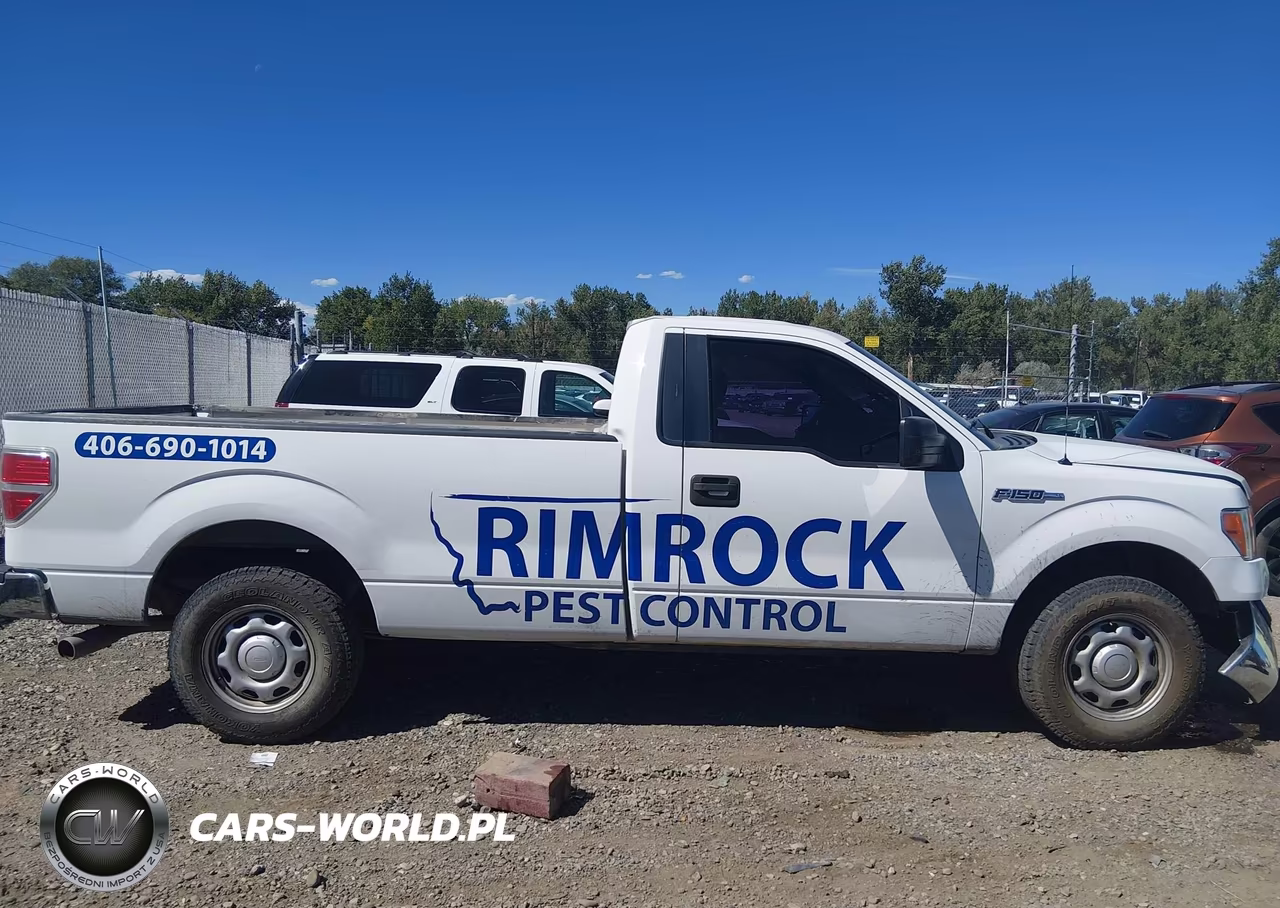 2013 Ford F-150 Xl VIN:1FTNF1CF4DKE30232 - 13