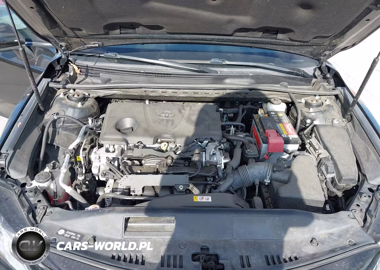 2020 Toyota Camry Le VIN:4T1C11AK6LU504657 - 10