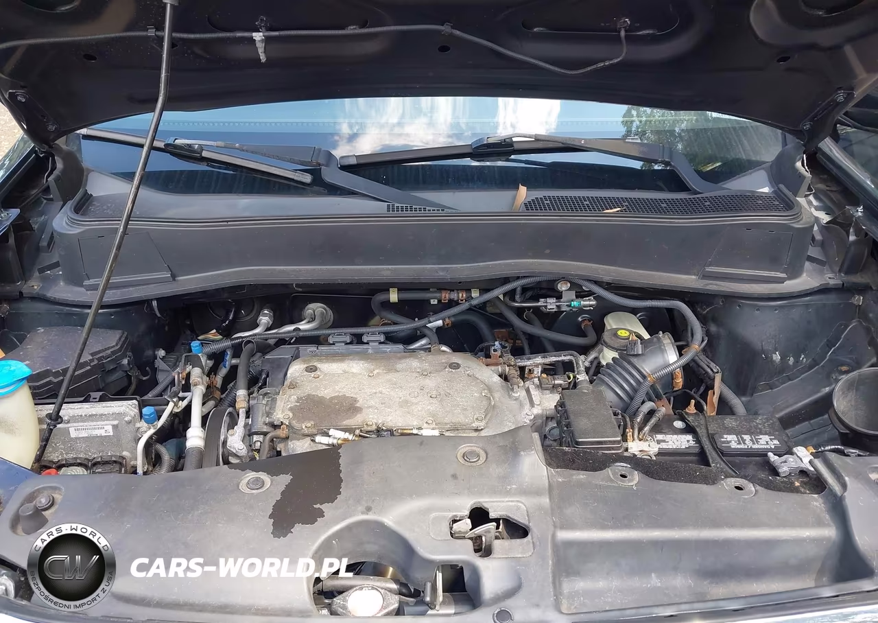 2009 Honda Pilot Ex-L VIN:5FNYF48639B017357 - 10
