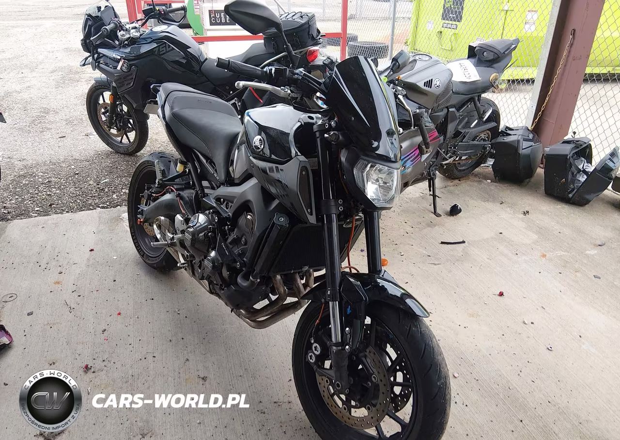 2016 Yamaha Fz09