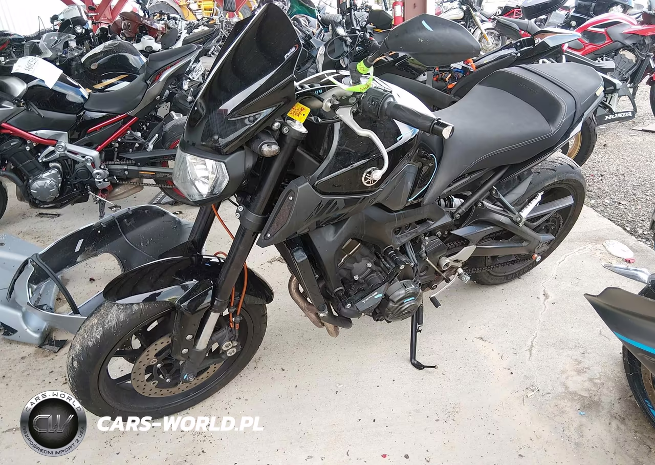 2016 Yamaha Fz09 VIN:JYARN33EXGA010262 - 13