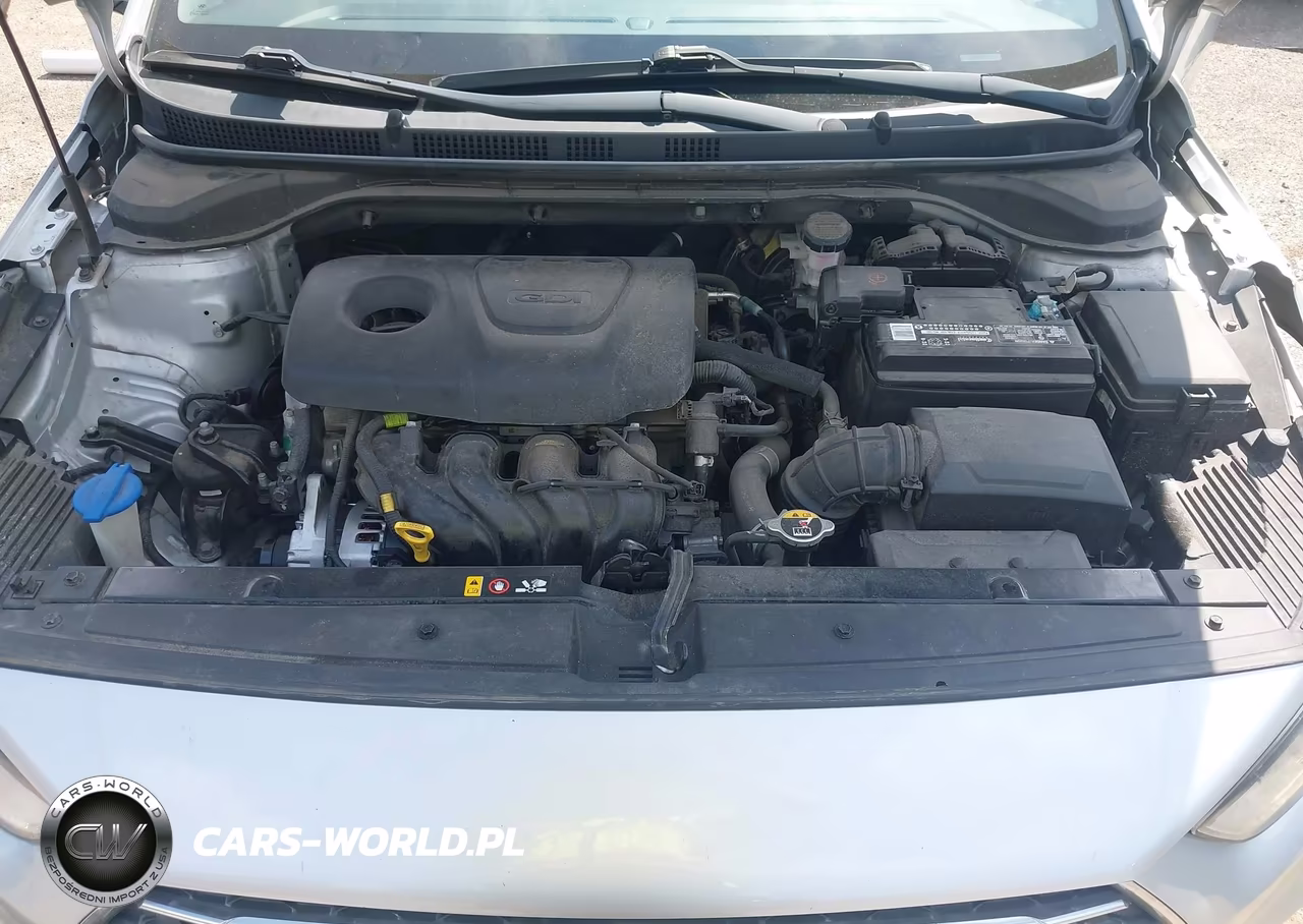 2019 Hyundai Accent Se VIN:3KPC24A37KE060858 - 10