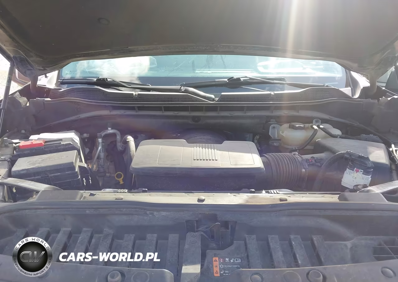2024 Chevrolet Silverado 1500 4Wd Short Bed Lt Trail Boss VIN:3GCUDFED0RG173496 - 10